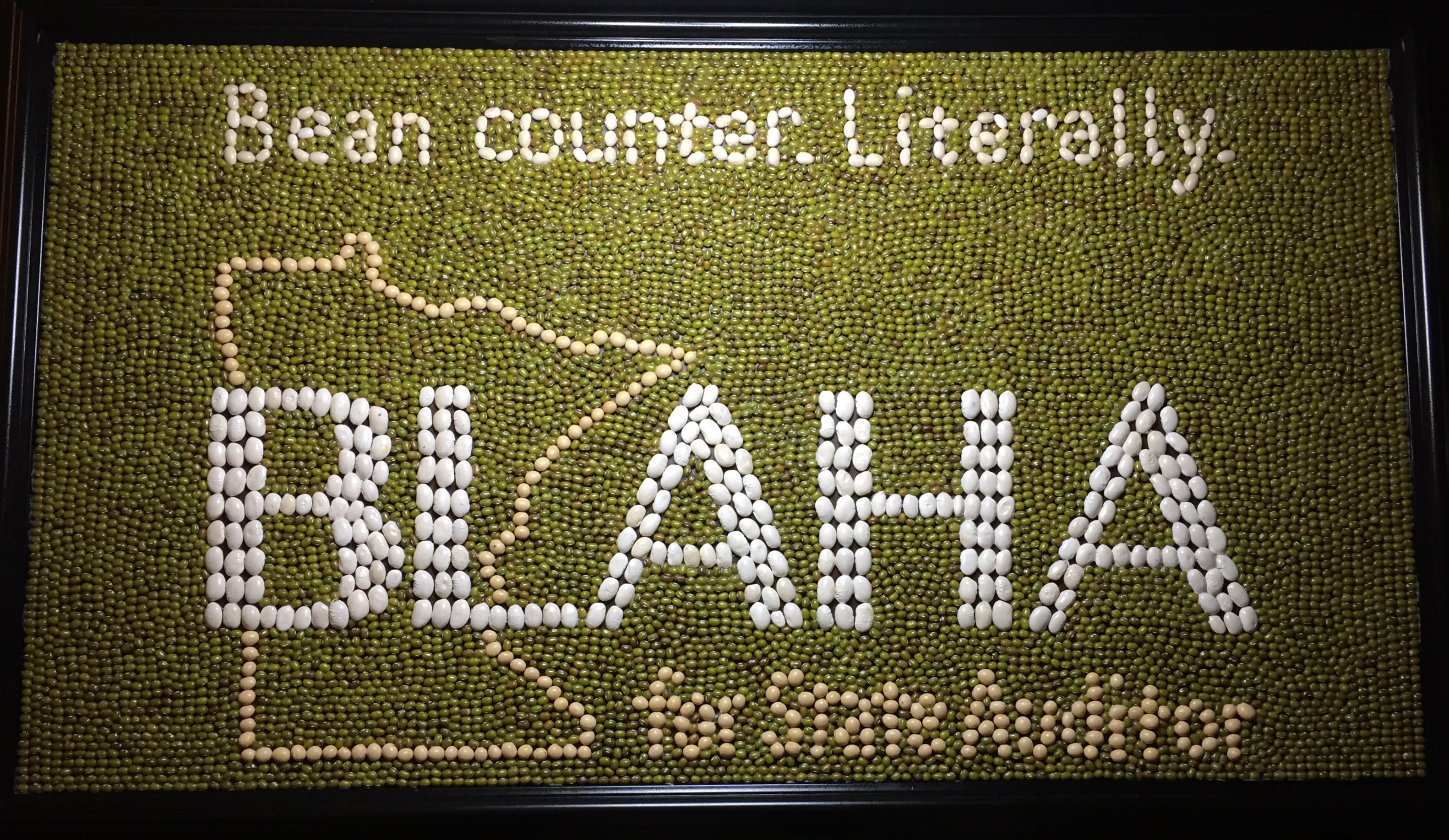 [Julie Blaha Bean Counter image]